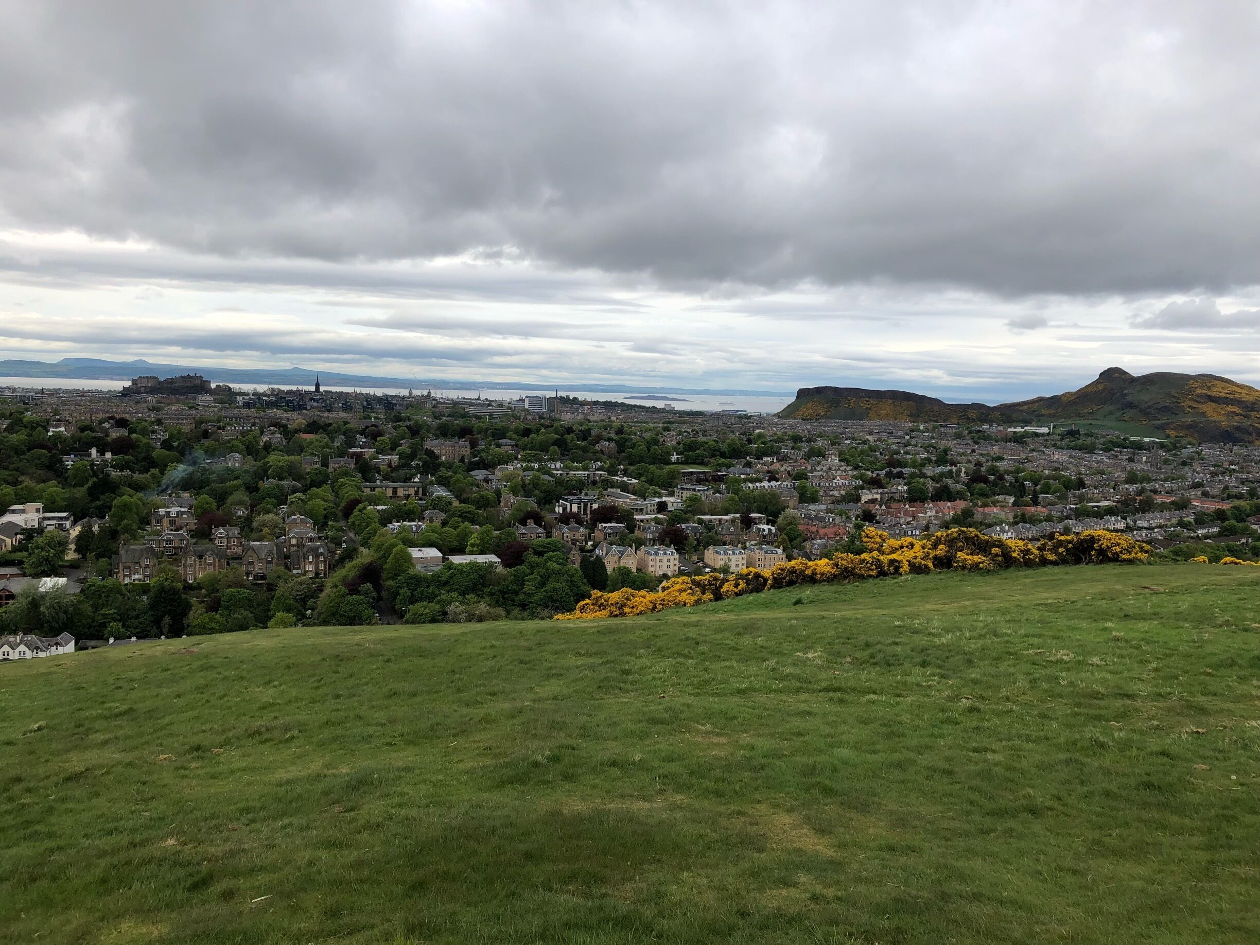 Hermitage of Braid and Blackford Hill Local Nature Reserve