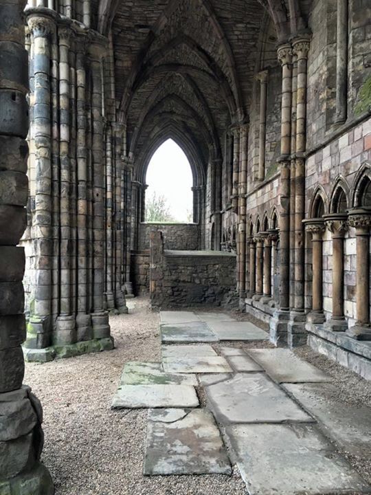 Wandering through ruins