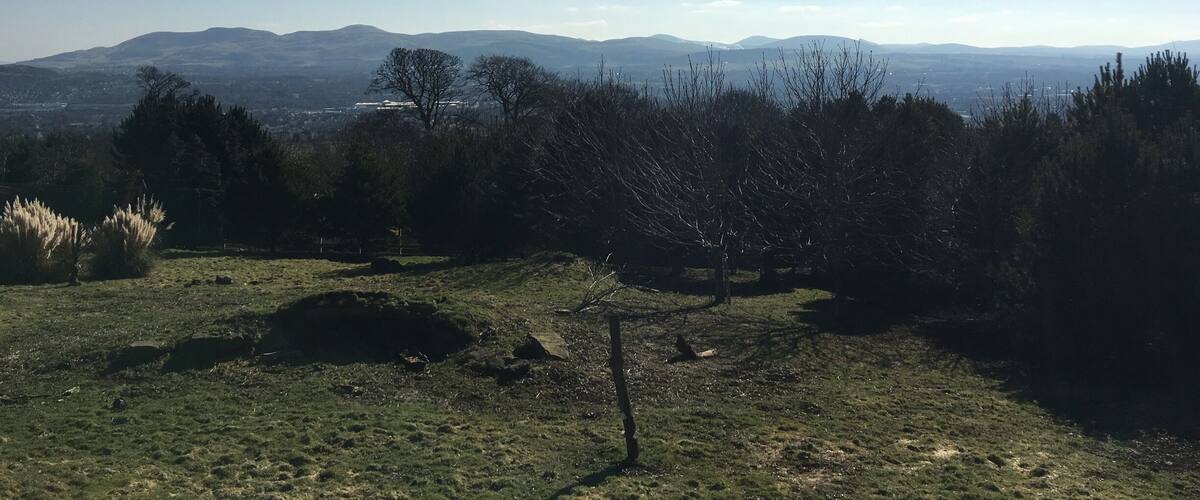 View from the very top of the hills at Edinburgh Zoo on a warm day in March #green #greensweepstakes #edinburghzoo