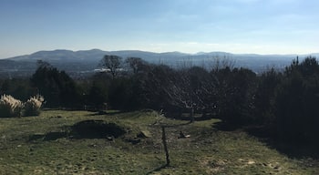 Corstorphine