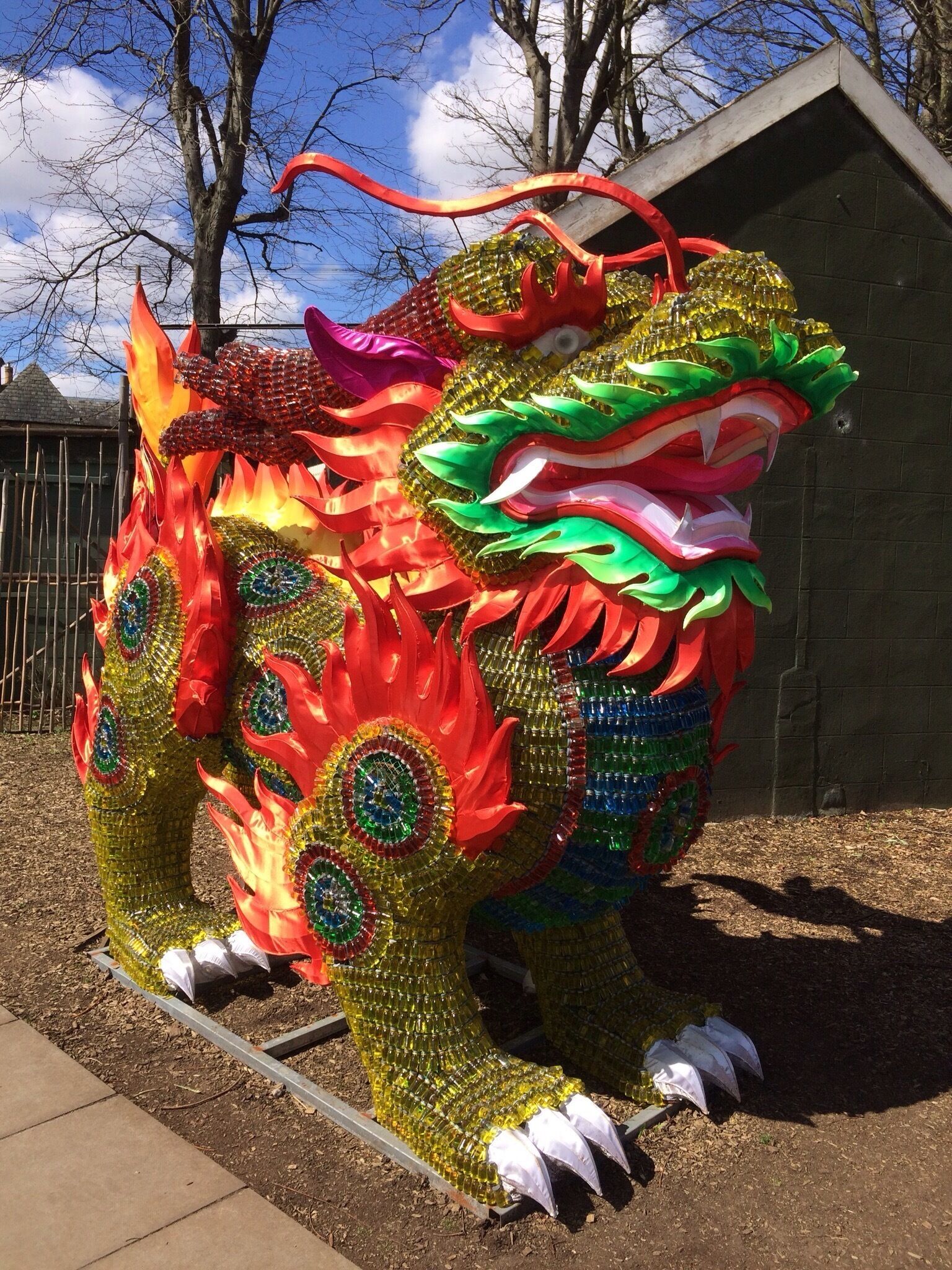 Outside of the giant panda enclosure, there are two of these beautiful Chinese dragon. It is made of thousands of tiny bottles with coloured liquid, wrapped and moulded using wire. Edinburgh zoo is the only place in the UK to house giant pandas and koalas. 