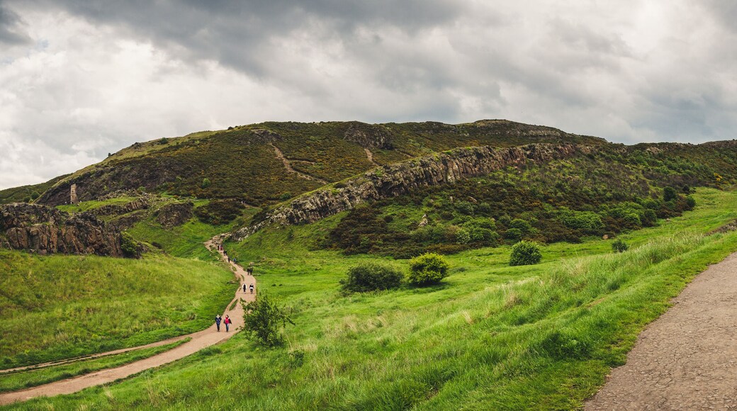 Panoramic shot of the Holyrood park in Edinburgh, Scotland. Arthur's seat summit on the right.
#nature