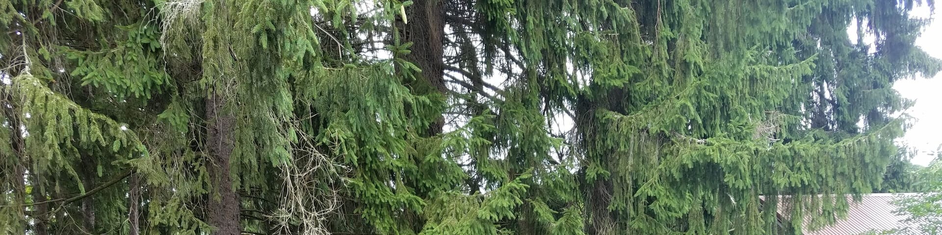 Sweet little village.
Rich with history and talent!