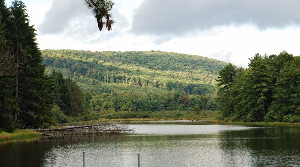 Lots of solitude in New Germany and surrounding areas.