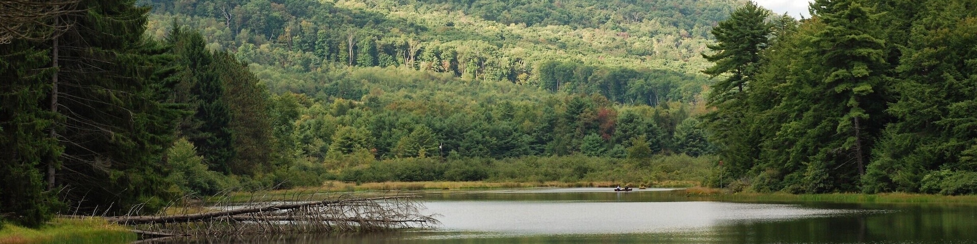 Lots of solitude in New Germany and surrounding areas.