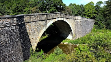 Casselman River Bridge