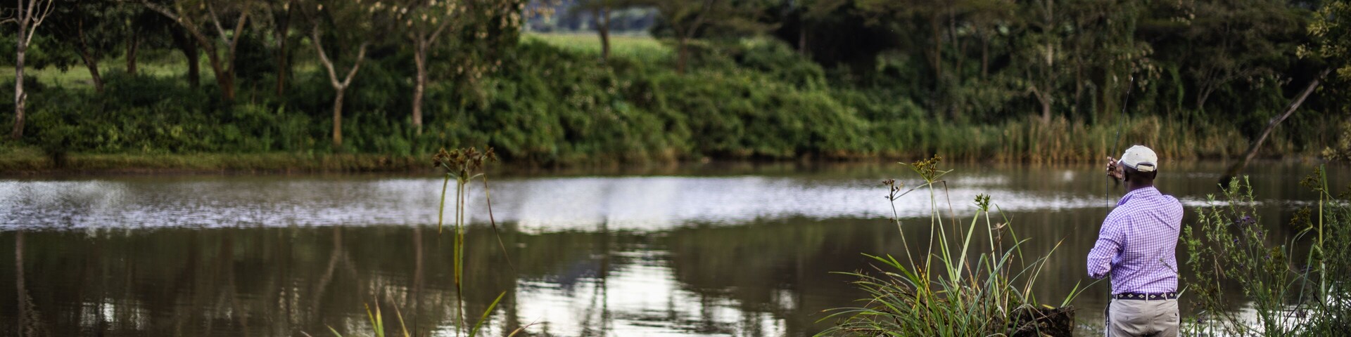 Un hombre de pie junto a un lago tranquilo rodeado de abundante vegetación y árboles.