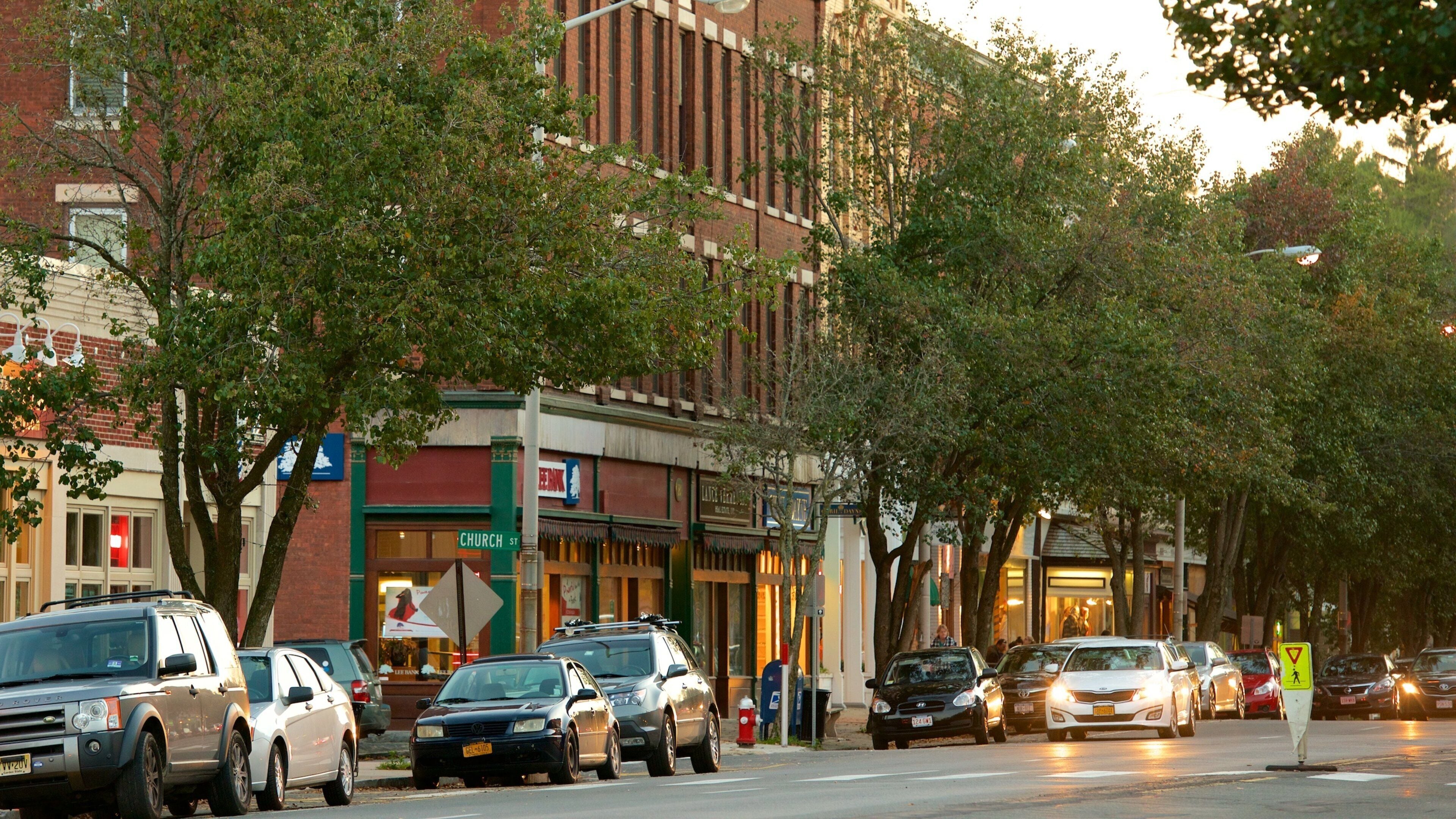 Great Barrington which includes city views