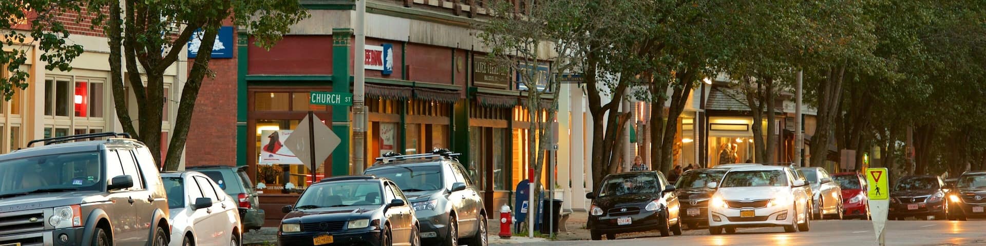 Great Barrington which includes city views