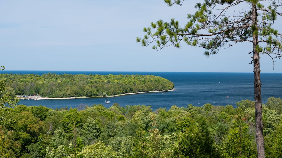A coastal landscape with dense forest, a clear blue sky, and a small boat on the water.