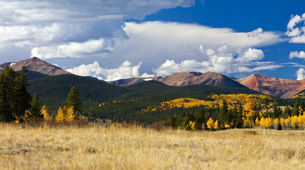 Colorado Rocky Mountain Fall Panoramic Landscape