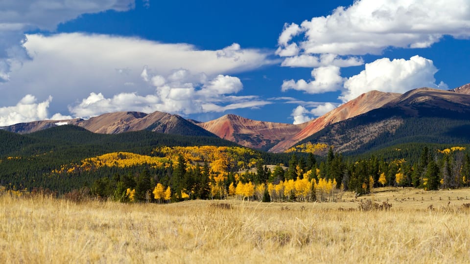 A mountain range with autumn foliage, a clear sky, and a grassy foreground.