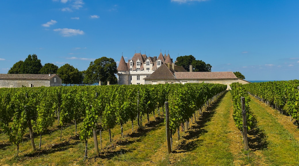 Castle Montbazillac-Vineyard of Bergerac-Dordogne-France
