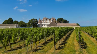 Castle Montbazillac-Vineyard of Bergerac-Dordogne-France