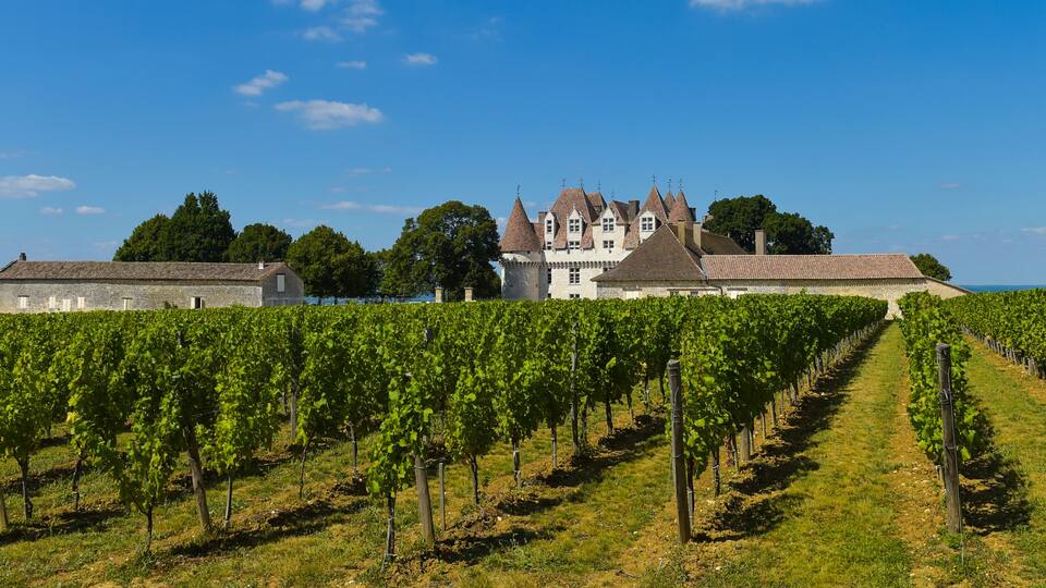 Castle Montbazillac-Vineyard of Bergerac-Dordogne-France