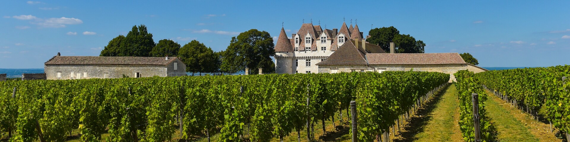 Castle Montbazillac-Vineyard of Bergerac-Dordogne-France