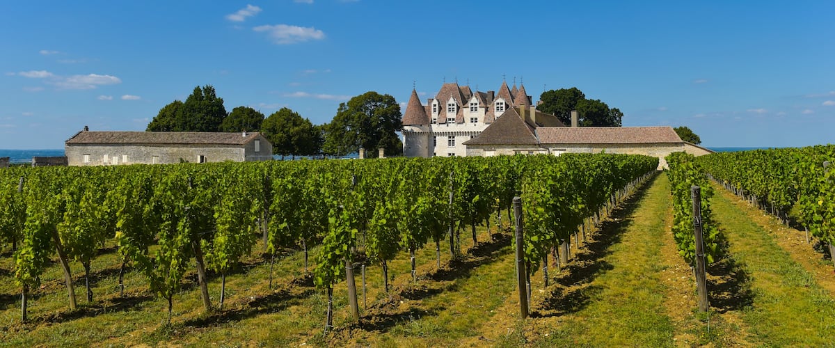 Castle Montbazillac-Vineyard of Bergerac-Dordogne-France