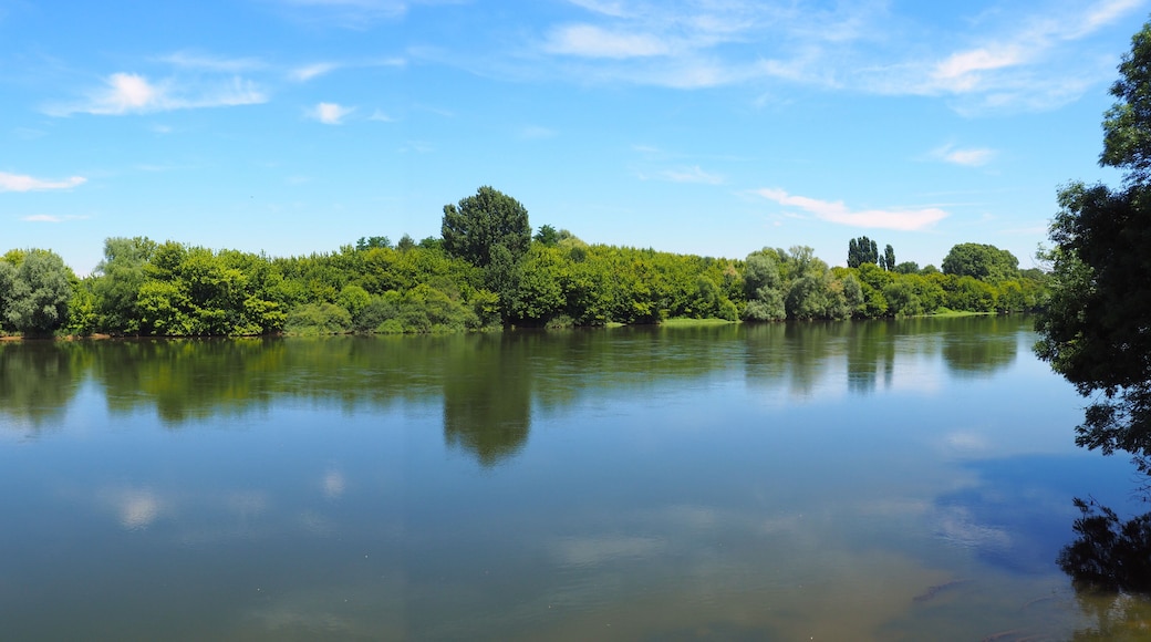 peaceful banks with trees of the Dordogne River in New Aquitaine in the south-west of France, near Bergerac