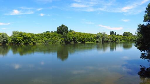 peaceful banks with trees of the Dordogne River in New Aquitaine in the south-west of France, near Bergerac
