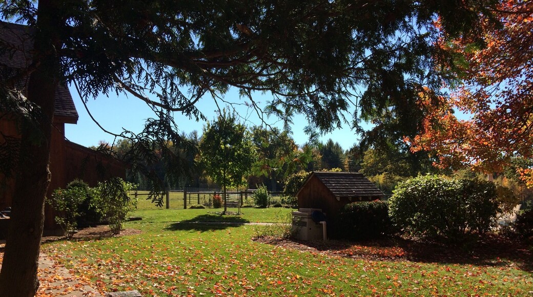 Sheep ranch near Greenfield. Colors not retouched!