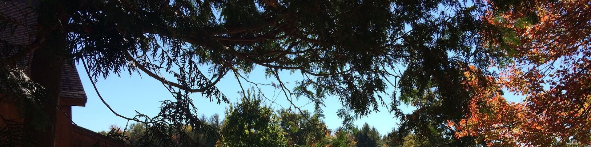 Sheep ranch near Greenfield. Colors not retouched!