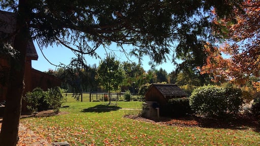 Sheep ranch near Greenfield. Colors not retouched!