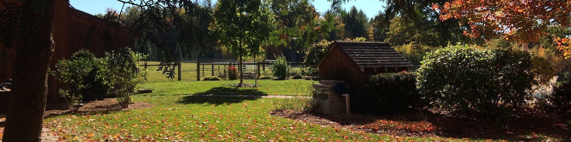 Sheep ranch near Greenfield. Colors not retouched!