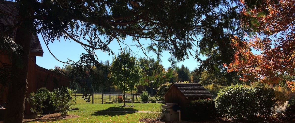 Sheep ranch near Greenfield. Colors not retouched!