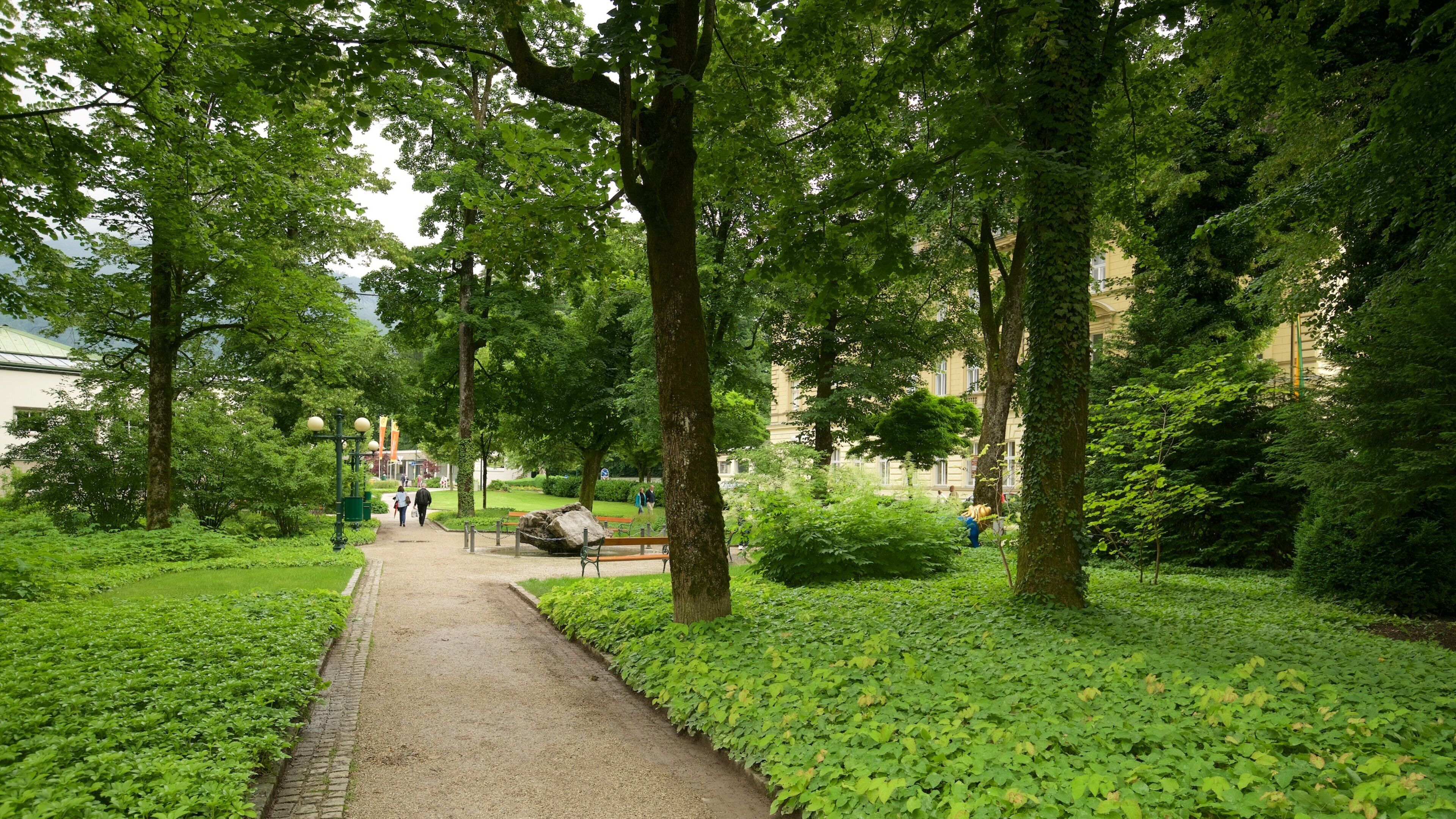 A tree-lined pathway in a park with benches and people walking.