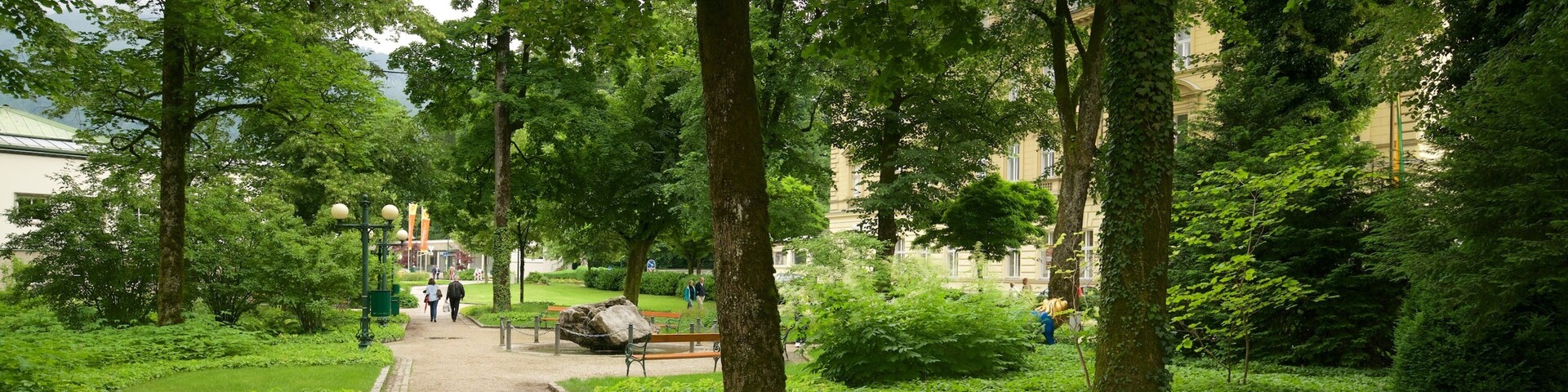 A tree-lined pathway in a park with benches and people walking.