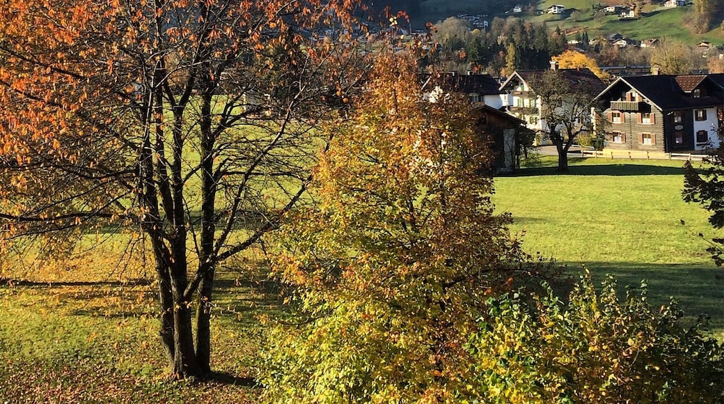 Schruns is a little village in the western part of Austria. It's a great place for skiing, hiking and mountain biking. This picture was taken in fall shortly before winter started.