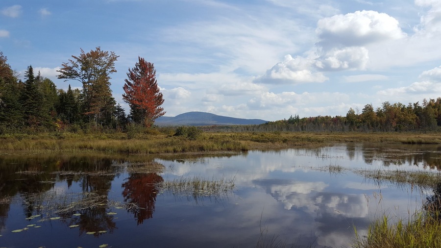 A beautiful spot along the dirt roads.
