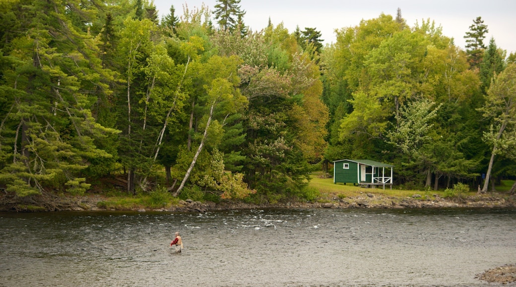 Greenville which includes a river or creek