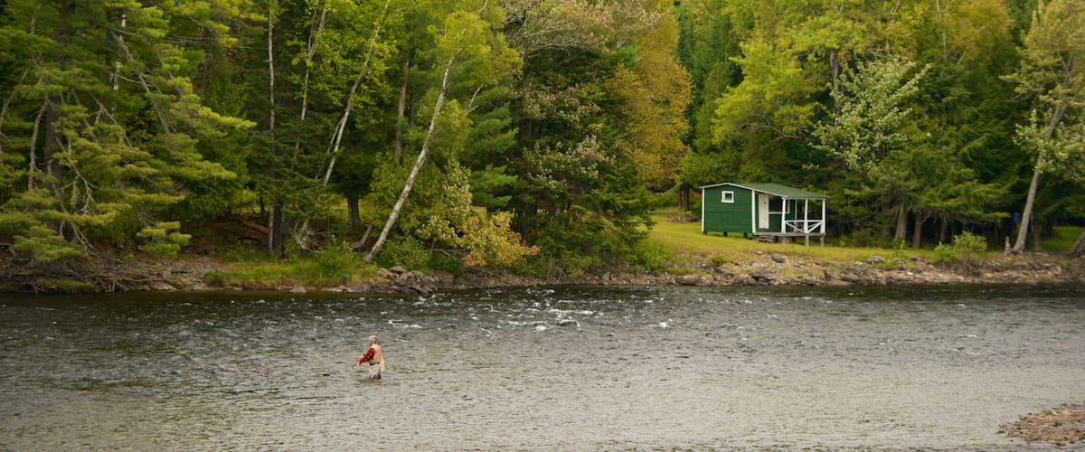 A river with a person wading, surrounded by dense green forest and a small green cabin.