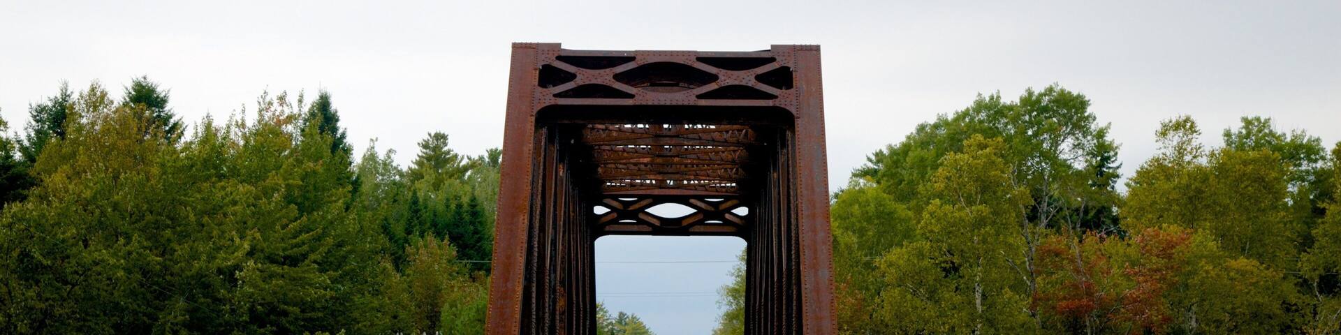 Greenville showing a bridge and railway items