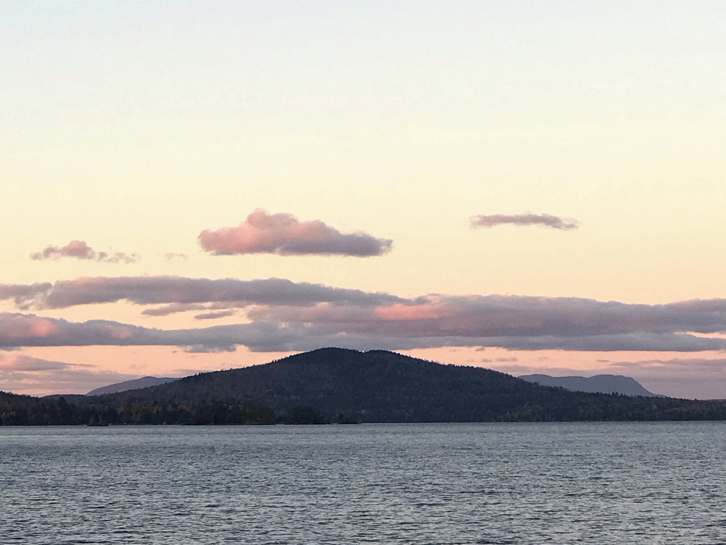 I saw a moose on the highway 🤗