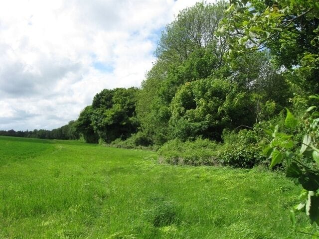 The Hedge along the Canal Towpath on the Wendover Arm This is the reverse view of the mature hedge that borders the canal on the towpath side, as viewed from Cobblers Pits