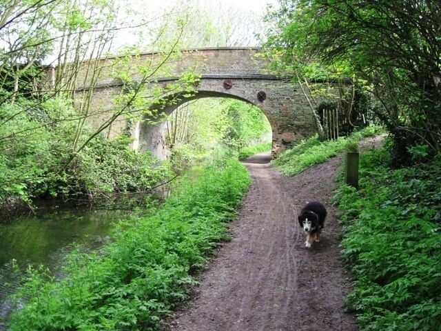 Wendover Arm of the Grand Union Canal: Wellonhead Bridge (No 7) from the West