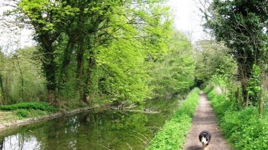 Wendover Arm: halfway between Hare Lane Bridge (No 8) and Wellonhead Bridge (No 7) The hedge on the Green Park of the disused canal overhangs the water while there is a large field behind the hedge on the towpath side. See 1235539