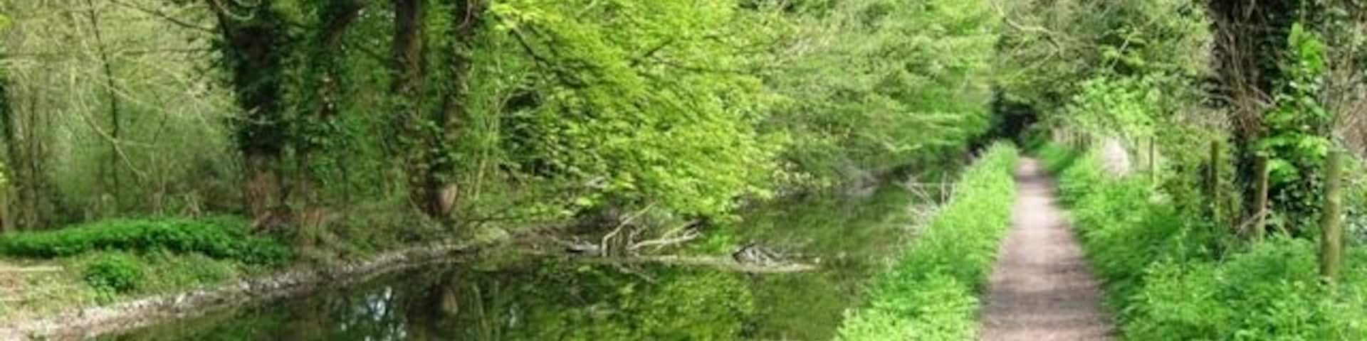 Wendover Arm: halfway between Hare Lane Bridge (No 8) and Wellonhead Bridge (No 7) The hedge on the Green Park of the disused canal overhangs the water while there is a large field behind the hedge on the towpath side. See 1235539
