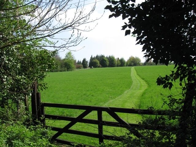 A Mowed Strip across a Giant Lawn The view over this old farm gate beside the towpath was a surprise. One gets used to seeing fields laid out as pasture but this is different. The way the grass has been mown, the uniform quality, and the apparent absence of weeds gives it the appearance of a well maintained garden lawn, perhaps associated with one of the houses on Stablebridge Road. A month later the grass had grown and there were buttercups and daisies, but apart from a few stems of cow parsley there was no sign of any rank weeds.