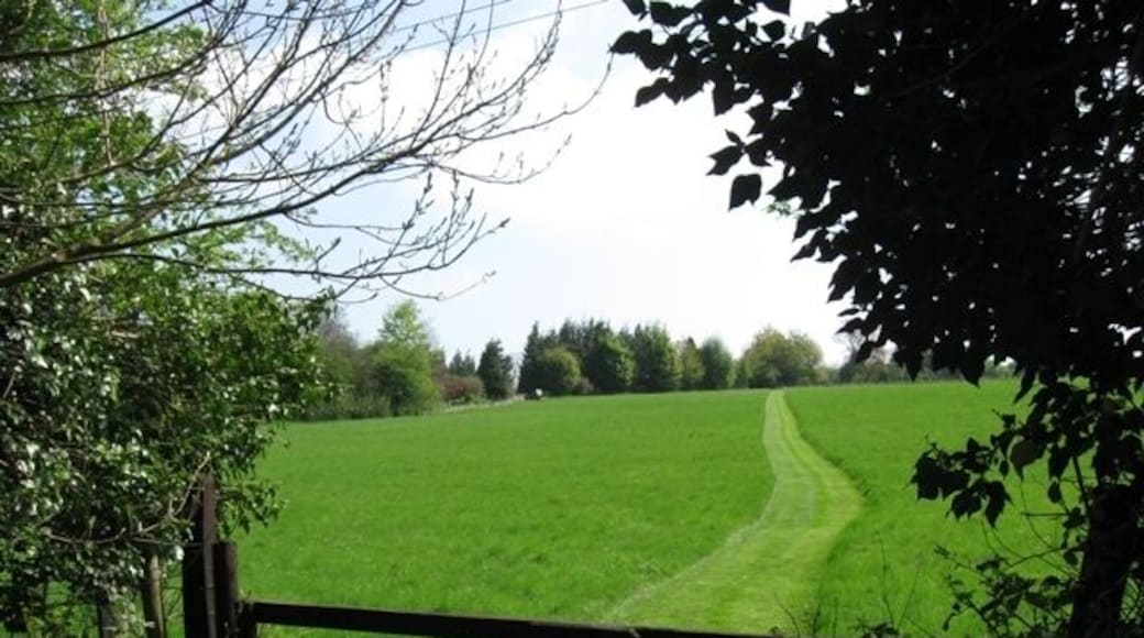 A Mowed Strip across a Giant Lawn The view over this old farm gate beside the towpath was a surprise. One gets used to seeing fields laid out as pasture but this is different. The way the grass has been mown, the uniform quality, and the apparent absence of weeds gives it the appearance of a well maintained garden lawn, perhaps associated with one of the houses on Stablebridge Road. A month later the grass had grown and there were buttercups and daisies, but apart from a few stems of cow parsley there was no sign of any rank weeds.