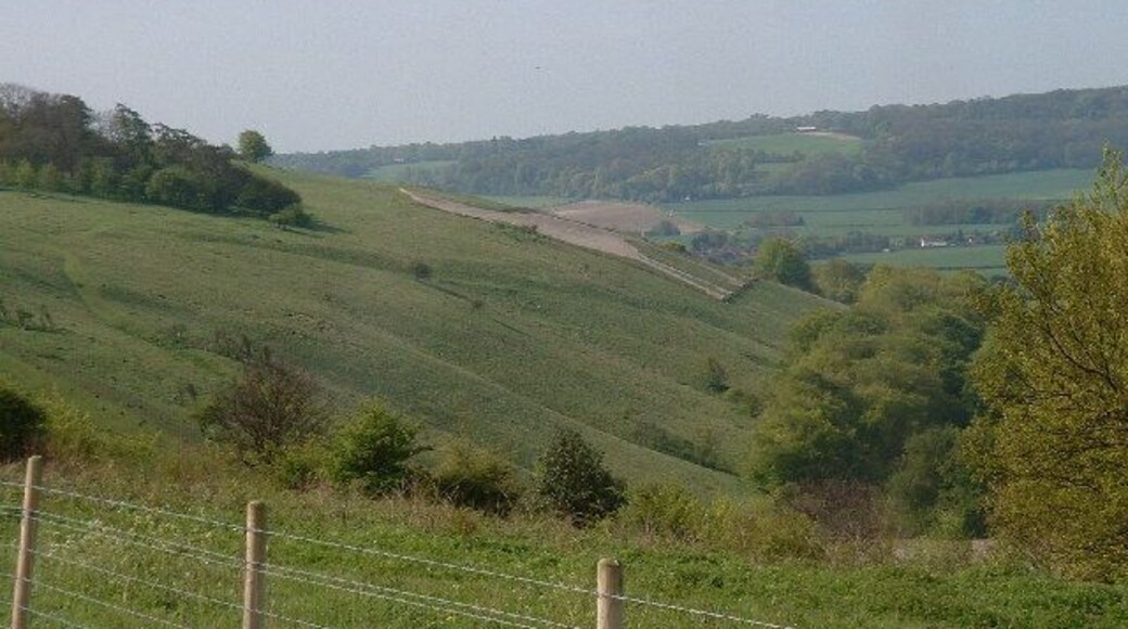White Lion at Whipsnade. Not an ancient chalk figure!