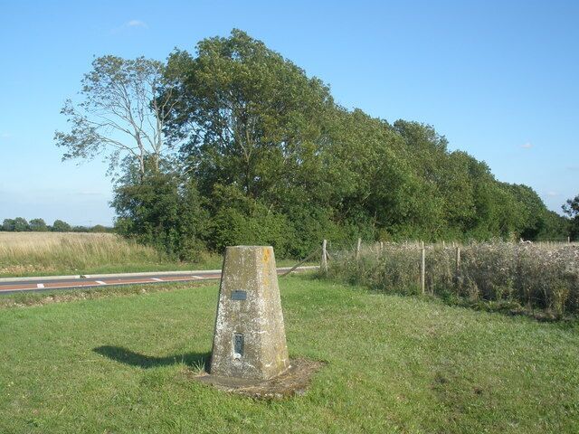 Trig point, on Dunstable Downs Highest point in Bedfordshire at a mighty 797 feet).