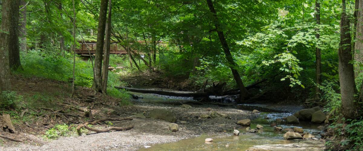 Concretions in the River
