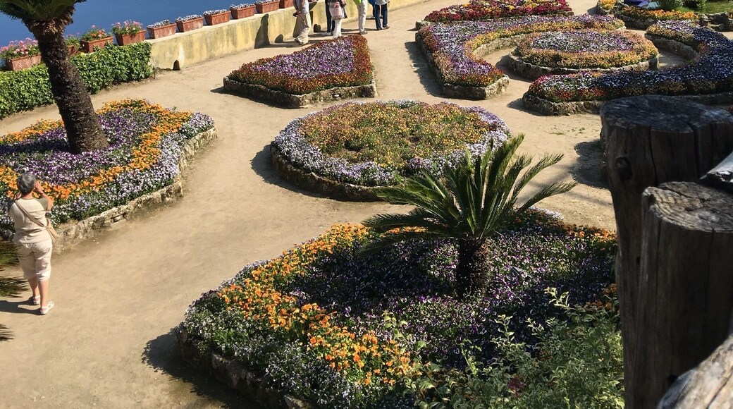 Fun fact: in the 13th century, this historical villa had more rooms than there were days in the year. #Patterns #VillaRufolo