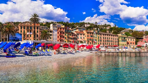 ์ธ์คํธ๋ฆฌ ๋ ๋ฐ๋ผ