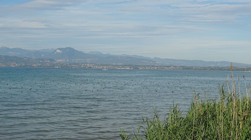 Il lago di Garda o Benaco è il maggiore lago italiano, con una superficie di circa 370 km (terzo per profondità dopo Como e Maggiore). Cerniera fra tre regioni, Lombardia (provincia di Brescia), Veneto (provincia di Verona) e Trentino-Alto Adige (provincia di Trento), è posto in parallelo all'Adige, da cui è diviso dal massiccio del monte Baldo. A settentrione si presenta stretto a imbuto mentre a meridione si allarga, circondato da colline moreniche che rendono più dolce il paesaggio. Il lago è un'importante meta turistica ed è visitato ogni anno da milioni di persone.