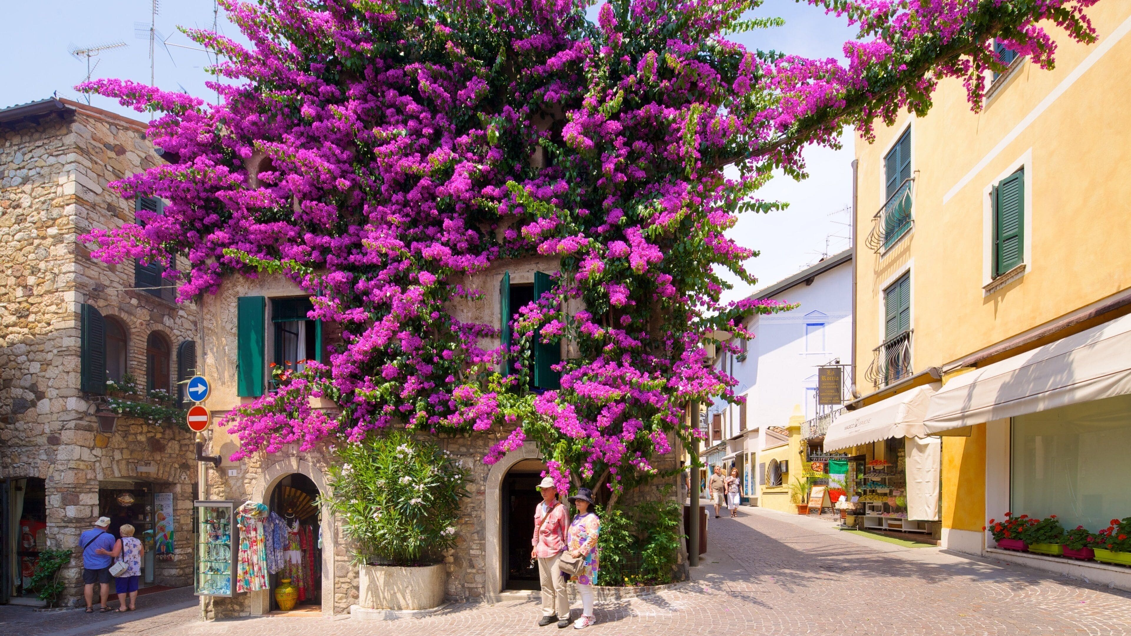 Sirmione ofreciendo una ciudad y flores