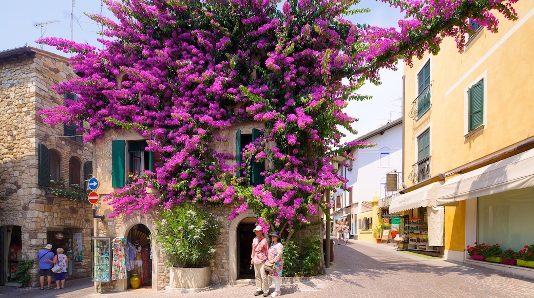 Sirmione featuring flowers and a city